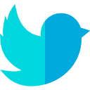 x logo